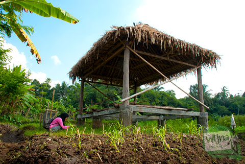 Panorama Desa Turen, Sardonoharjo, Ngaglik, Sleman, DI Yogyakarta