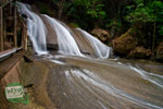 gambar/2011/sulawesi/bantimurungtb.jpg