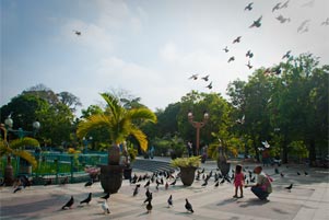 gambar/2011/sulawesi/mbtb.jpg