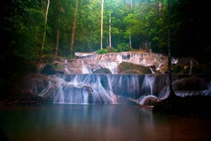 gambar/2011/sulawesi/moramotb.jpg