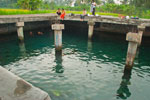 http://www.mblusuk.com/gambar/2012/umbulpajangantb.jpg