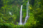 http://www.mblusuk.com/gambar/2013/bali2013/airterjunsekumpulbedugulbalitb.jpg