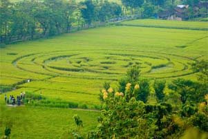 http://www.mblusuk.com/gambar/baru/cropcircleberbahtb.jpg