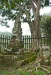 Candi Pringtali