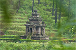 Candi Gedong Songo