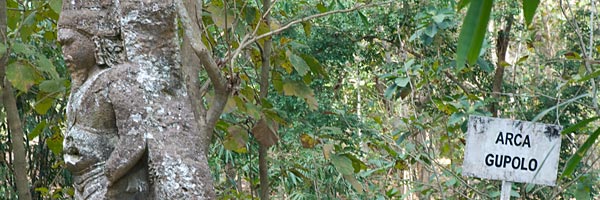Arca Gupala