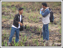 Sekilas Proyek Candi