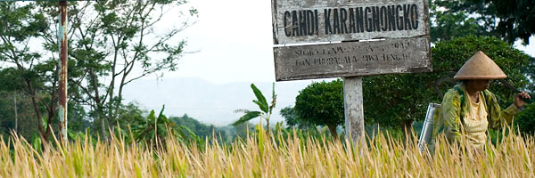 Candi Karangnongko