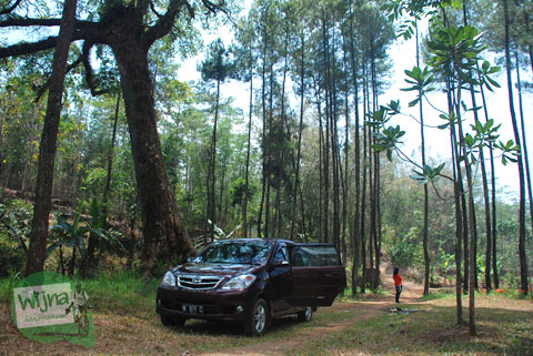 Candi Sumberawan di Toyomarto, Singosari, Malang, Jawa Timur