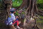 http://www.mblusuk.com/gambar/gunungkelirtb.jpg