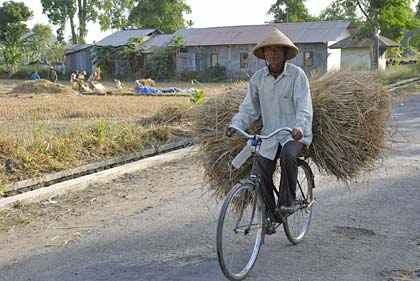Sepeda di pedesaan