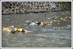 http://www.mblusuk.com/gambar/sampahair.jpg