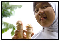 http://www.mblusuk.com/gambar/unit80kkn/es5rasa02.jpg